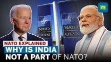 What is NATO? Why is India not a part of the alliance? l World News